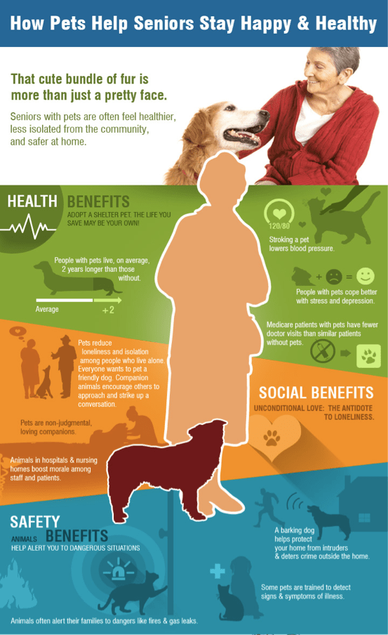 Screen Shot 2014-11-05 at 11.55.47 AM